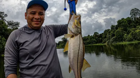 Un experto pescador exhibe con orgullo su sargento capturado en las aguas del lago Gatún. Un gran testimonio del éxito que puede alcanzar con la dedicación y la pasión por la pesca deportiva. Nuestro agradecimiento a @fishnpanama por su maravilloso trabajo fotográfico.