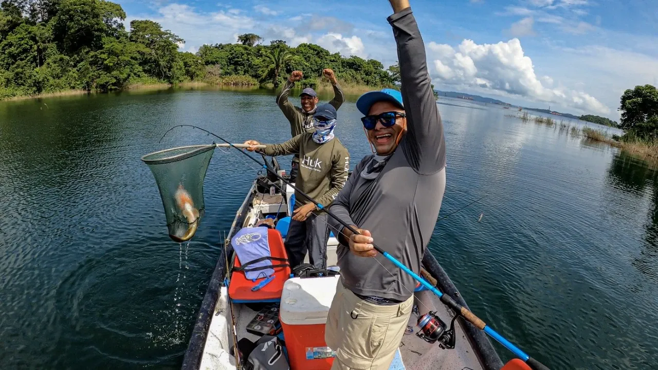 Triunfo Colectivo: El Sargento Gigante - Capturada en el momento justo, esta imagen refleja la emoción compartida por todos los pescadores tras la captura de un impresionante sargento en el lago Gatún. Una demostración de camaradería y la alegría que se vive en la pesca deportiva. Crédito a @fishnpanama por capturar este momento tan especial.