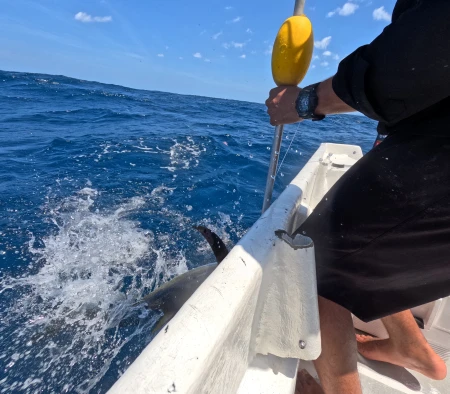 Explorando Cambutal: Experiencia Única de Pesca Deportiva en Panamá