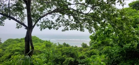 La exuberante belleza de Cambutal en un día lluvioso: Playa y vegetación en armonía