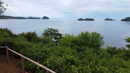 Isla de Coiba - Coiba ofrece una experiencia de viaje completa para los aventureros y aquellos que buscan relajación. Tanto si te emocionas con el senderismo por sus senderos selváticos como si prefieres disfrutar de sus playas vírgenes y aguas tranquilas, este destino te brinda la oportunidad de conectarte con la naturaleza y encontrar la paz interior.