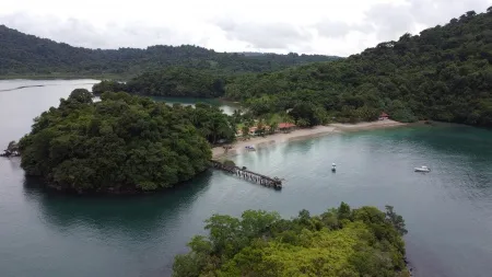 Isla de Coiba - En esta foto impactante, se observa un cocodrilo asomándose por las aguas cristalinas de Coiba. La presencia del reptil, con su piel rugosa y prehistórica y sus ojos alerta, nos recuerda la verdadera naturaleza salvaje de este paraíso. Coiba, conocida por su rica biodiversidad, se muestra aquí en su forma más cruda y emocionante, destacando la belleza indomable y el poder de la vida silvestre en su hábitat natural.