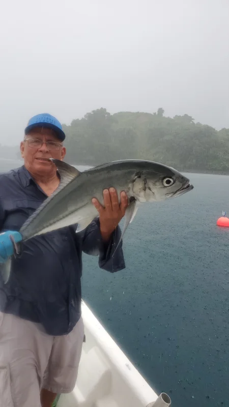 Imagen del lugar Isla de Coiba - Isla de Coiba en Veraguas