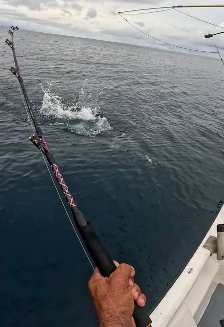 Imagen del lugar Isla de Coiba - Isla de Coiba en Veraguas