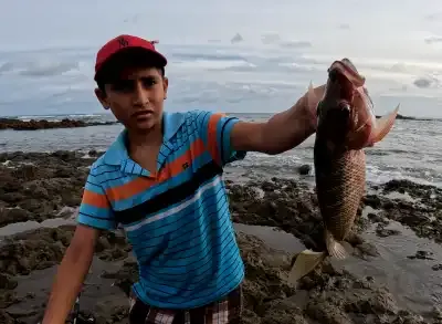 Desembocadura del Río Oria - Una imagen emocionante de la captura del día, destacando la riqueza y diversidad de las especies marinas en la zona de El Ciruelo y la desembocadura del Río Oria.