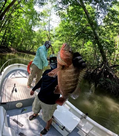 Imagen del lugar Golfo de Montijo
