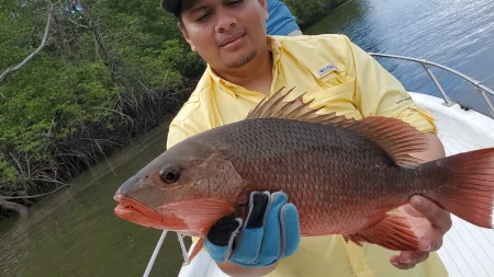 Imagen del lugar Golfo de Montijo