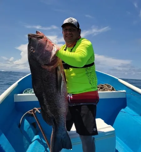 Pargo Rojo: La Joya de Palo Seco