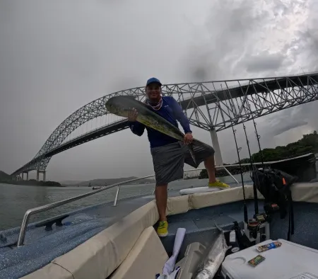 El Puente de las Américas: Un vínculo icónico - El Puente de las Américas se alza majestuosamente sobre el Muelle Público de Diablo, conectando las orillas de Panamá en un abrazo arquitectónico. En esta imagen icónica, el puente muestra su grandeza, con sus torres imponentes y sus cables metálicos entrelazados.