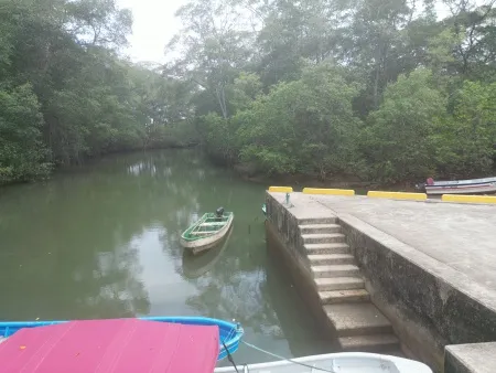 El Verde Manto de Puerto Pedasí
