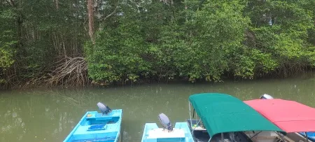 Contempla la armoniosa coexistencia entre la naturaleza y las instalaciones portuarias en Puerto Pedasí. Un lugar donde el desarrollo y la conservación se encuentran, creando un entorno perfecto para la pesca deportiva en el corazón de Panamá.
