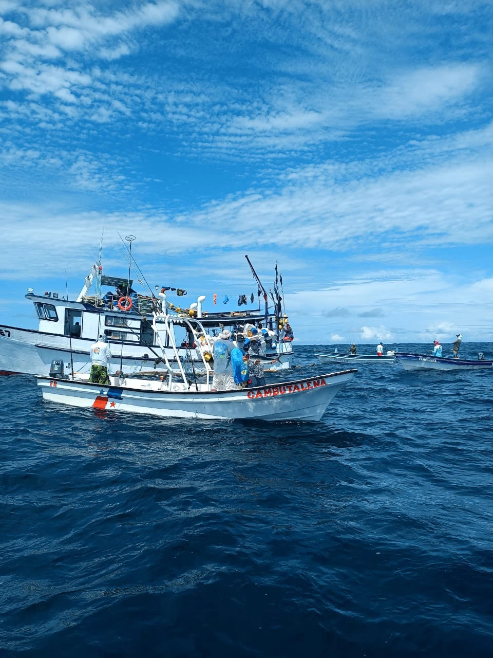 "La Flota de Pesca Cambutal: Experiencia Superior en Pesca Deportiva