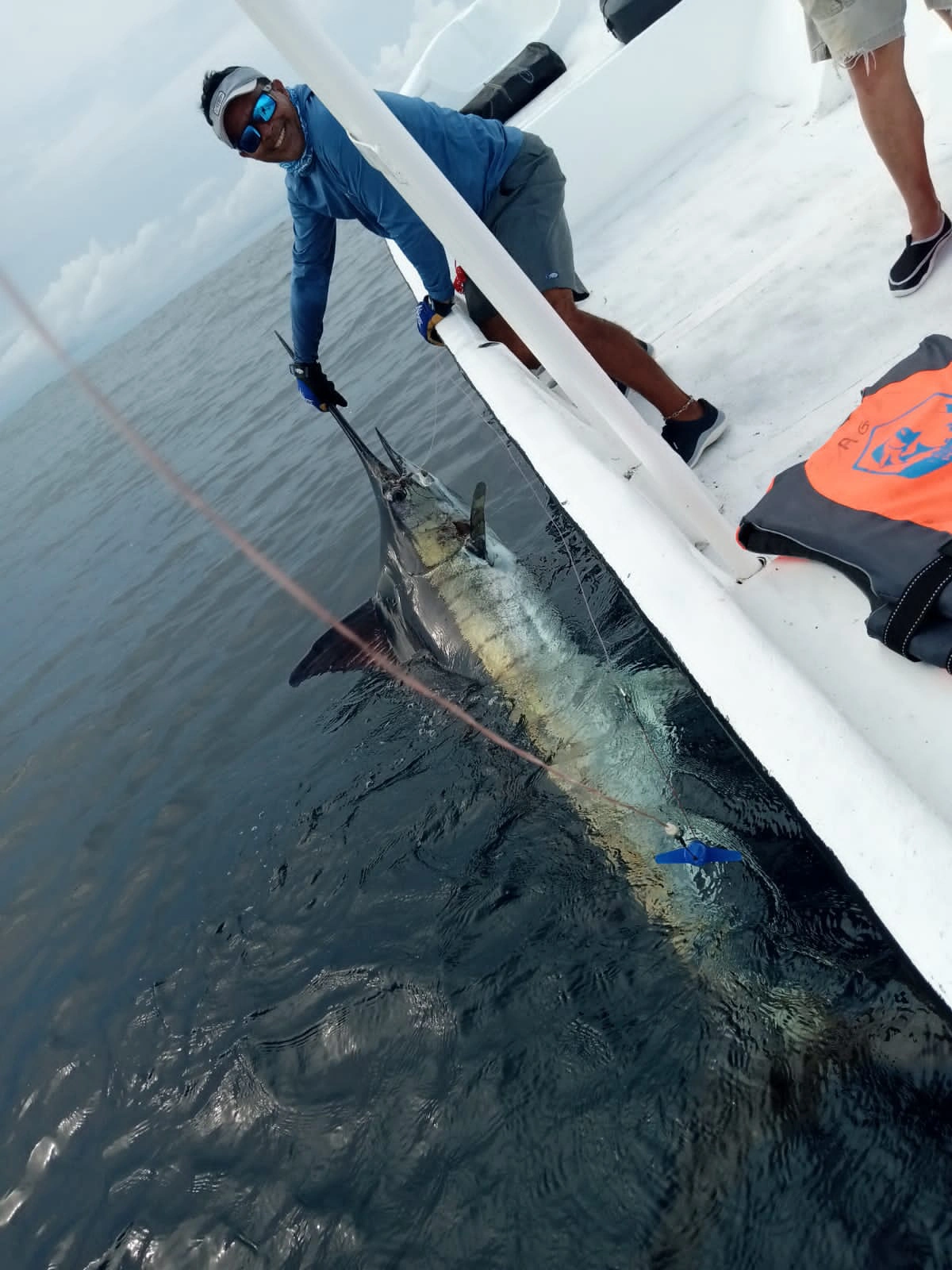 Aventura Inolvidable: La Emoción de Capturar un Pez Marlin en Pesca Cambutal