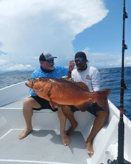 Experiencia Inolvidable: Capturando Pargo Dientón con Pesca Cambutal - Nuestros clientes disfrutan de la emoción de capturar Pargo Dientón, una especie muy buscada por los entusiastas de la pesca deportiva. Estas imágenes de pescadores orgullosos con sus capturas reflejan la adrenalina y la satisfacción que supone enfrentarse a este poderoso pez en las aguas de Cambutal. Únete a nosotros en Pesca Cambutal y crea tus propios recuerdos de pesca inolvidables.