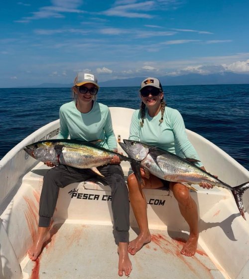 Atún Aleta Amarilla