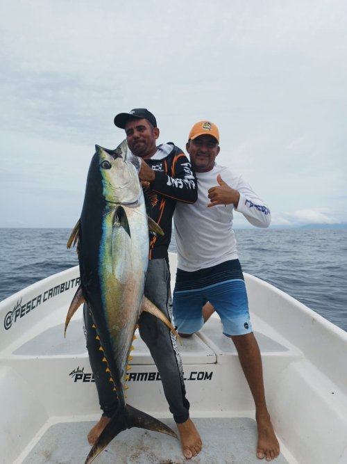 Pesca Cambutal
