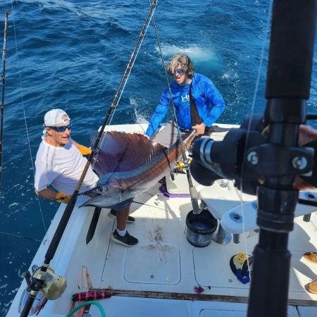 Marlin - La lucha que siguió fue intensa. El marlin se resistió, saltando y sacudiéndose en un intento de liberarse, pero el equipo a bordo del Listo se mantuvo firme. Trabajaron juntos, utilizando su experiencia y el equipo de pesca de alta calidad para dominar al poderoso pez.

Finalmente, después de una emocionante batalla, el marlin fue subido a bordo. Su tamaño imponente y su piel azul metálico brillando bajo el sol panameño eran un espectáculo para la vista. La captura del marlin fue un hito para todos a bordo, una prueba de la emoción de la pesca en alta mar y de la rica biodiversidad en las aguas de Panamá. Fue un día que todos recordarán, la captura de un marlin a bordo de nuestra embarcación.