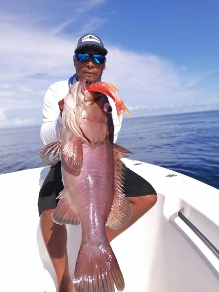 Captura de Mero con Carnada Viva - En las aguas vibrantes de Coiba, un mero ha sido capturado con destreza utilizando carnada viva. La imagen captura el momento exacto en que el pescador levanta su trofeo, reflejando la emoción de la captura y la belleza única del mero, una joya del océano en esta región prístina.