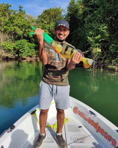 Captura de Sargento en Lago Gatun - Y así concluye nuestra jornada de pesca del día con VamosD'Pesca en el Lago Gatún. Hoy tuvimos la fortuna de capturar róbalos y sargentos. Fue un placer compartir esta experiencia con el Capitán JD y apreciar su embarcación en Lago Gatun.