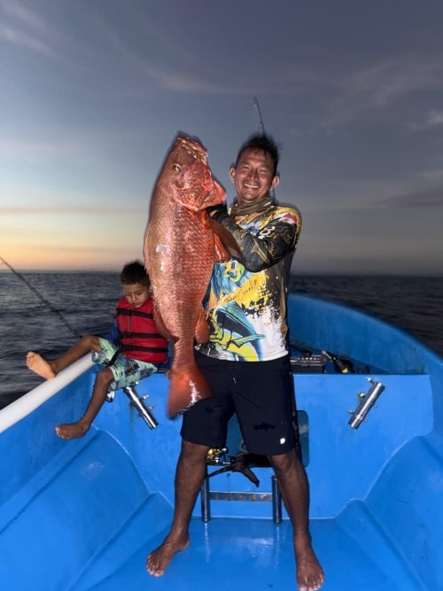 Cébaco Corimar Home