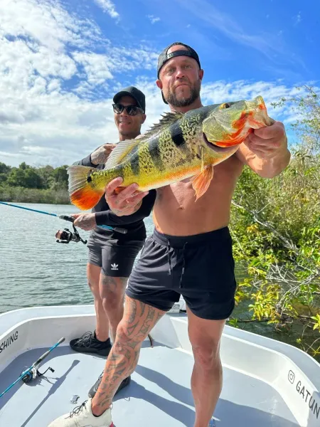 Éxito en el Lago Gatún: Captura de un Sargento Impresionante - Nuestro cliente sostiene con orgullo su impresionante Sargento capturado en las ricas aguas del Lago Gatún. Una experiencia que destaca la emocionante y gratificante aventura que es la pesca deportiva en Gatun Sport Fishing.