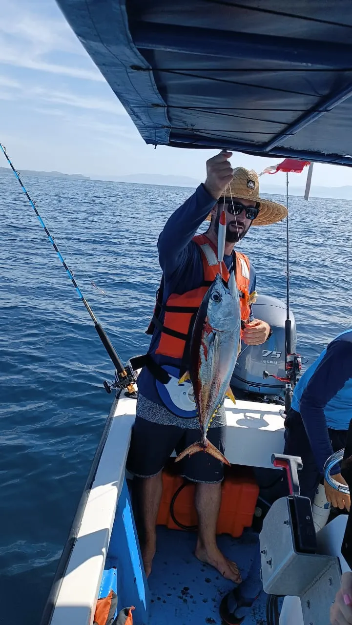 Captura del Día: ¡Tuna! - Otra gran captura de nuestros clientes. En Pesca Palo Seco, te ayudamos a encontrar las mejores zonas para pescar tunas. ¿Te unes a la aventura?