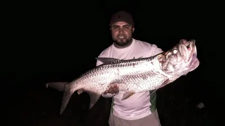 Increíbles capturas de Sábalo Real con Bayano Fishing Sport: - ¡Una captura de ensueño! Nuestro cliente mostrando con orgullo un impresionante Sábalo Real capturado durante su aventura de pesca con Bayano Fishing Sport. Este magnífico pez, reconocido como uno de los tesoros de las aguas de Panamá, demuestra la emoción y la emoción que te espera en nuestras expediciones. Únete a nosotros y experimenta la adrenalina de luchar contra este poderoso pez insignia mientras disfrutas de la belleza natural de Río Bayano e Isla Chepillo. ¡Reserva tu viaje hoy y crea recuerdos de pesca inolvidables!