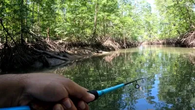 Una imagen cautivadora que enfoca la densa vegetación de los manglares en Puerto Mutis. Los verdes intensos de las hojas se mezclan con los tonos más suaves del agua y el cielo, creando un mosaico de naturaleza en su estado más puro. Es una invitación silenciosa a perderse en la belleza y la serenidad del entorno.