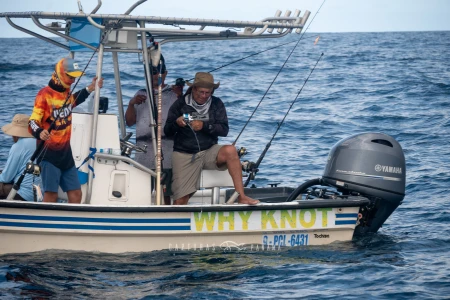 Imagen relacionada al artículo "Expedición Corimar 2025 – Tierra de Gigantes".