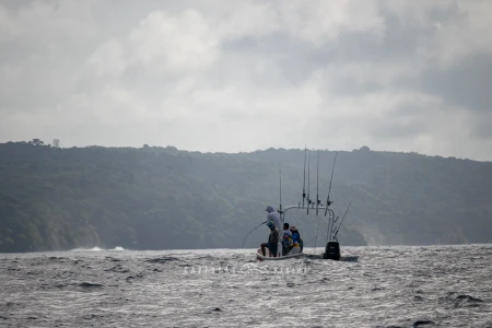 Imagen relacionada al artículo "Expedición Corimar 2025 – Tierra de Gigantes".