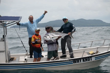 Imagen relacionada al artículo "Expedición Corimar 2025 – Tierra de Gigantes".